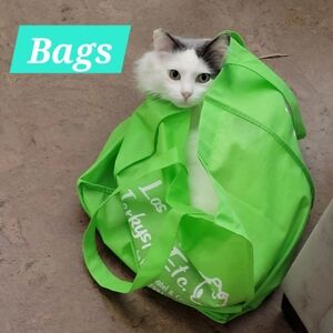 Bags
